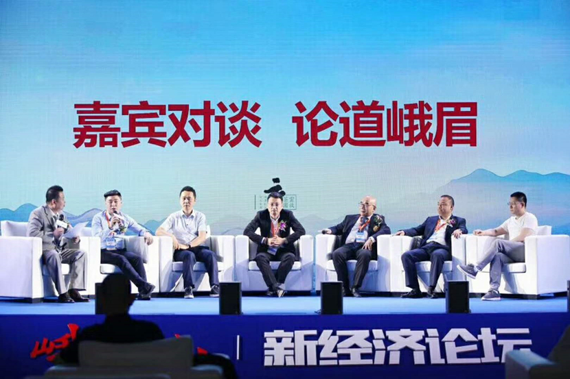 智放营销助力云放2018中国第二届新经济论坛圆满落幕